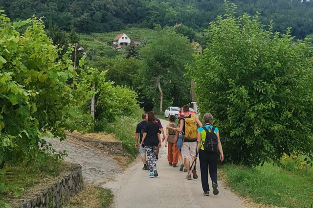 Túraútvonal a Szent György-hegyen - Badacsonyi Turisztikai és Borút Egyesület