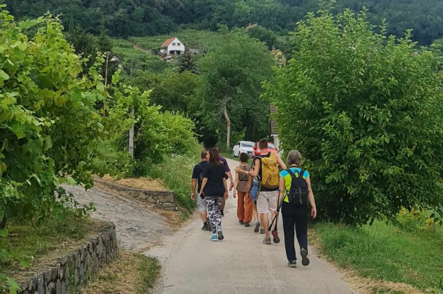 Túraútvonal a Szent György-hegyen - Badacsonyi Turisztikai és Borút Egyesület