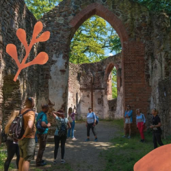 Élményséták a Pálos Kolostorromhoz - Folly Arborétum