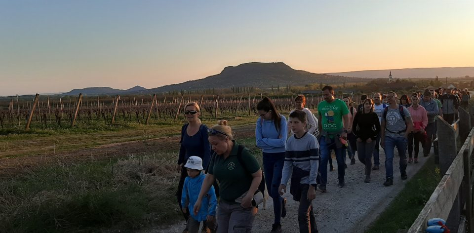 Holdfénytúra a Csobáncon - Badacsonyi Turisztikai és Borút Egyesület