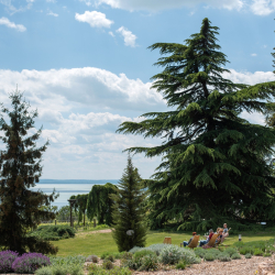 Húsvét a Folly Arborétumban