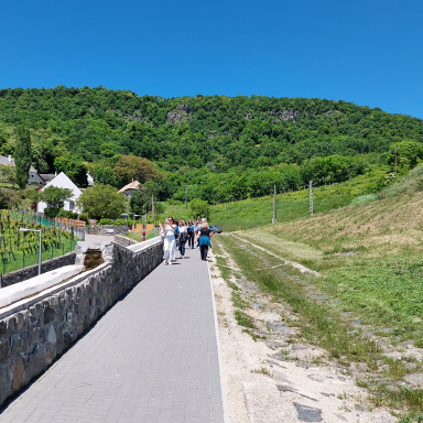 Bortúra Badacsonyban: Istvándy - Borbély - Éliás