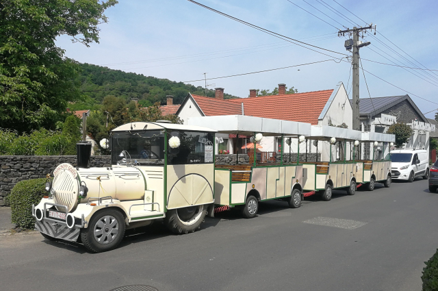 Sightseeing Train – Dotto