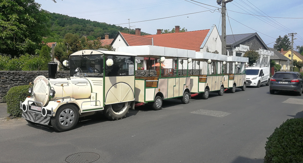 Sightseeing Train – Dotto