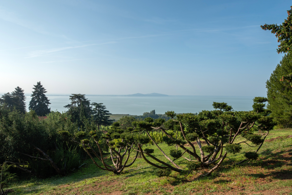 Őszi Vakáció a Folly Arborétumban