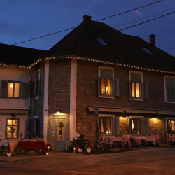 Adventi karácsonyfa-állítás, koccintás és könyvbemutató a Vánkosban