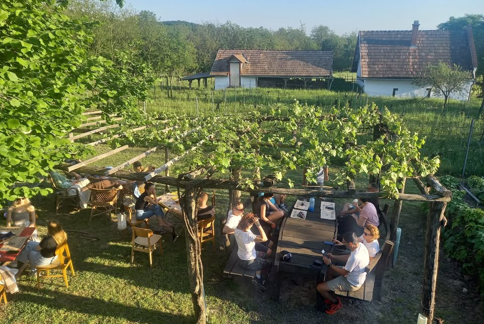 Pünkösdi Nyitott Pince a Négy80 Pincészetben
