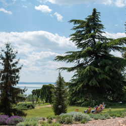 Folly Arborétum és borászat