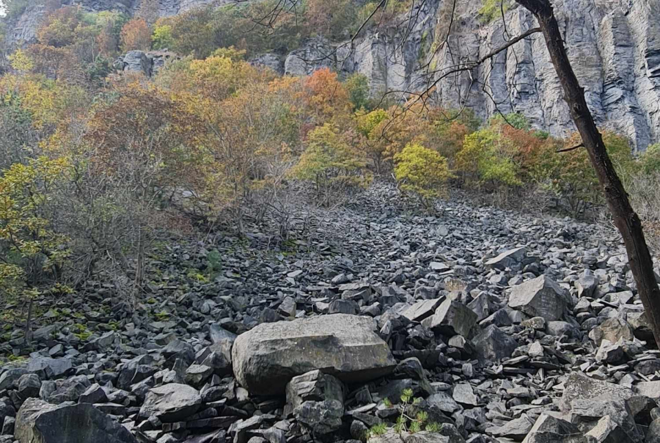 Hajnalmadár megfigyelő túra a Badacsony-hegyen