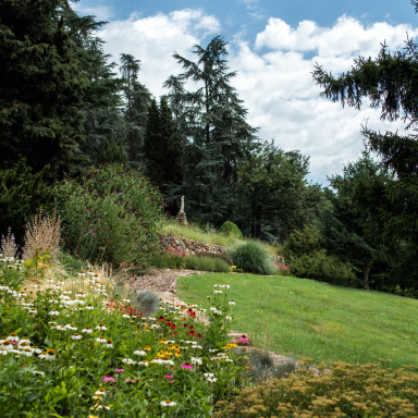 Az arborétum nyáron - Folly Arborétum és Borászat