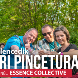 Sabari pincetúra - #kilencedik