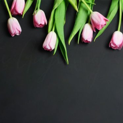 Tavaszi Húsvéti Vásár a Hableányban