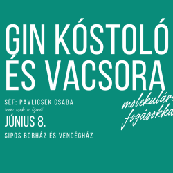 Gin kóstoló és vacsora a Sipos Borházban