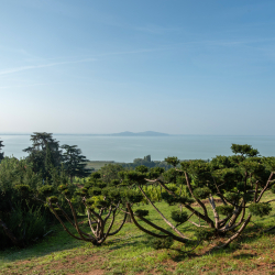Őszi vakáció a Folly Arborétumban