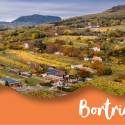 Bortriatlon – Rizling vakáció