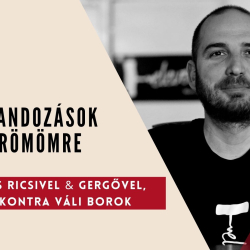 Borkalandozások Saját Örömömre / Négykezes Ricsivel & Gergővel, külföldi kontra Váli borok