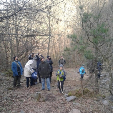 Guided tours in the Badacsony Region