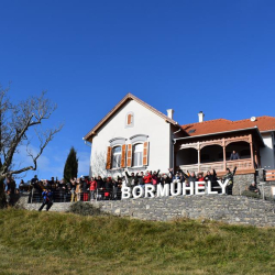 Fesztelen Estek a Borműhelyben