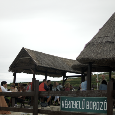 Bortúra Badacsonyban: Németh - Kéknyelű - Málik