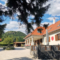 Borbarangolás Borvacsorák – Villa Tolnay Borház