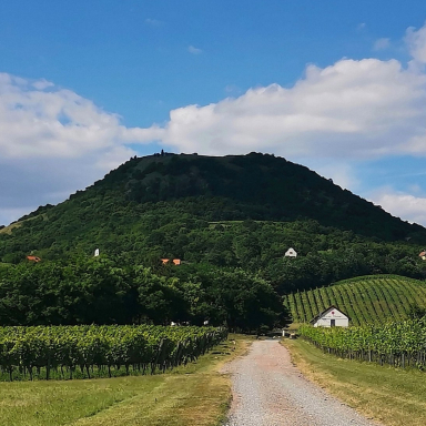 Csobánc-hegy a Villa Tolnay-tól