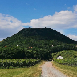 Csobánc-hegy a Villa Tolnay-tól