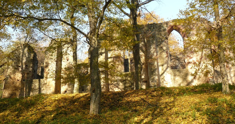 Salföldi pálos kolostor romja Salföldi pálos kolostor romja
