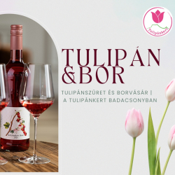Tulipánszüret és borvásár a Tulipánkert Badacsonyban