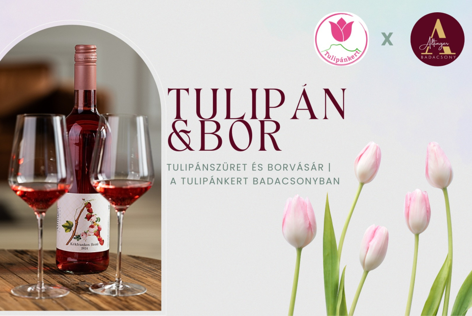 Tulipánszüret és borvásár a Tulipánkert Badacsonyban