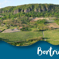 Bortriatlon - Kéknyelű Zsendülés
