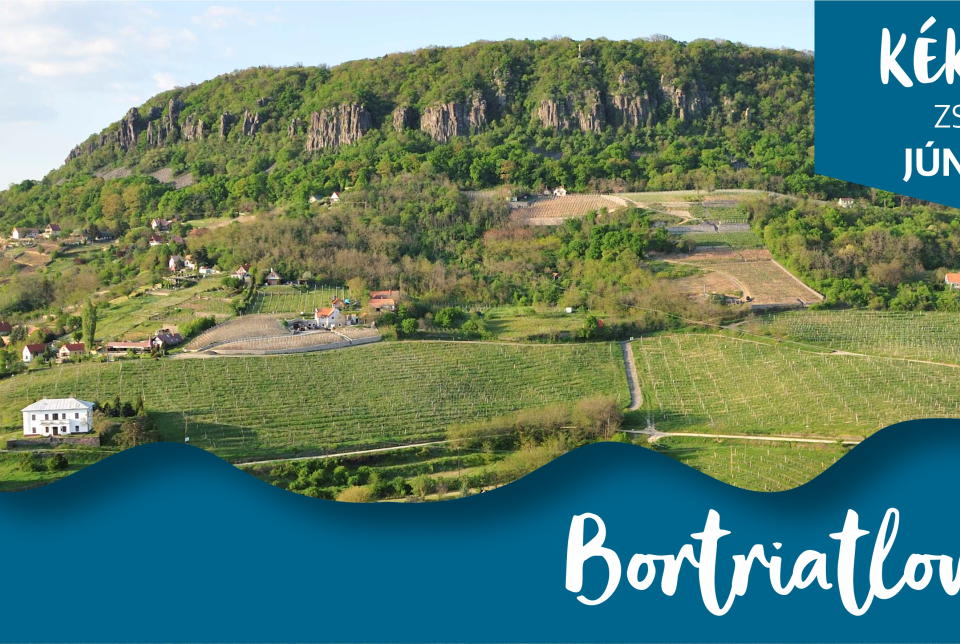 Bortriatlon - Kéknyelű Zsendülés