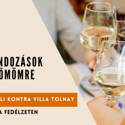 Borkalandozások Saját Örömre / Kapitányok a fedélzeten- Négykezes Váli kontra Villa Tolnay