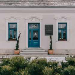 A furmint 9 évjárata a Nefelejcs Borbisztóban