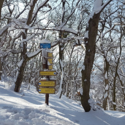 Téli holdfénytúra a Badacsonyon