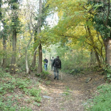 Guided tours in the Badacsony Region