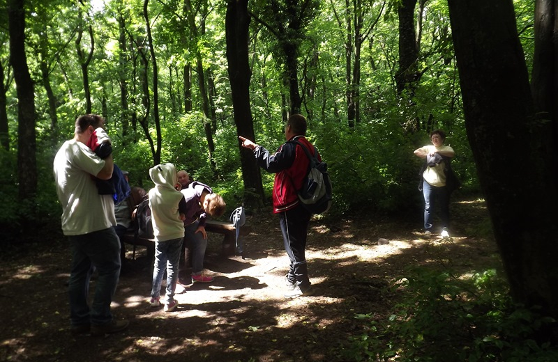 Guided tours in the Badacsony Region