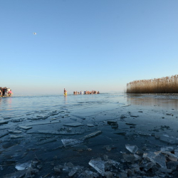 Silvesterschwimmen in Ábrahámhegy