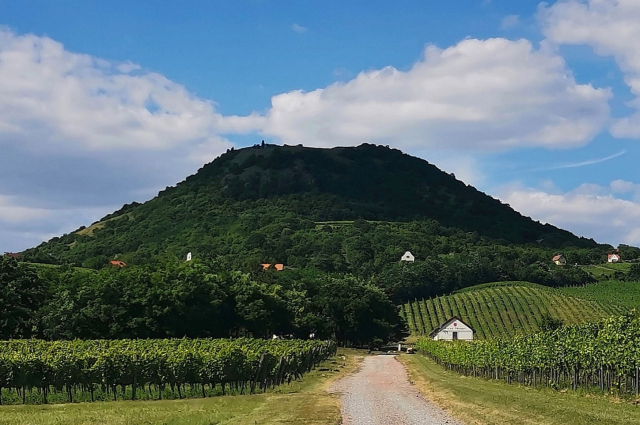 Csobánc-hegy a Villa Tolnay-tól