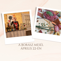 A borász mesél- A Terroir, avagy mi minden kell hogy a szőlőből jó bor legyen!