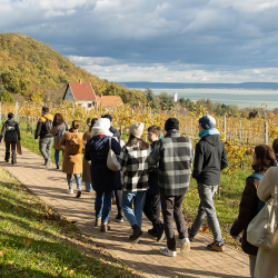 Kerti séta a Folly Arborétumban - Badacsonyi Turisztikai és Borút Egyesület