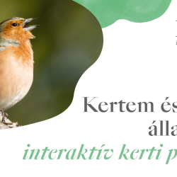 Kertem és egyéb állatfajták – interaktív kerti program a Follyban