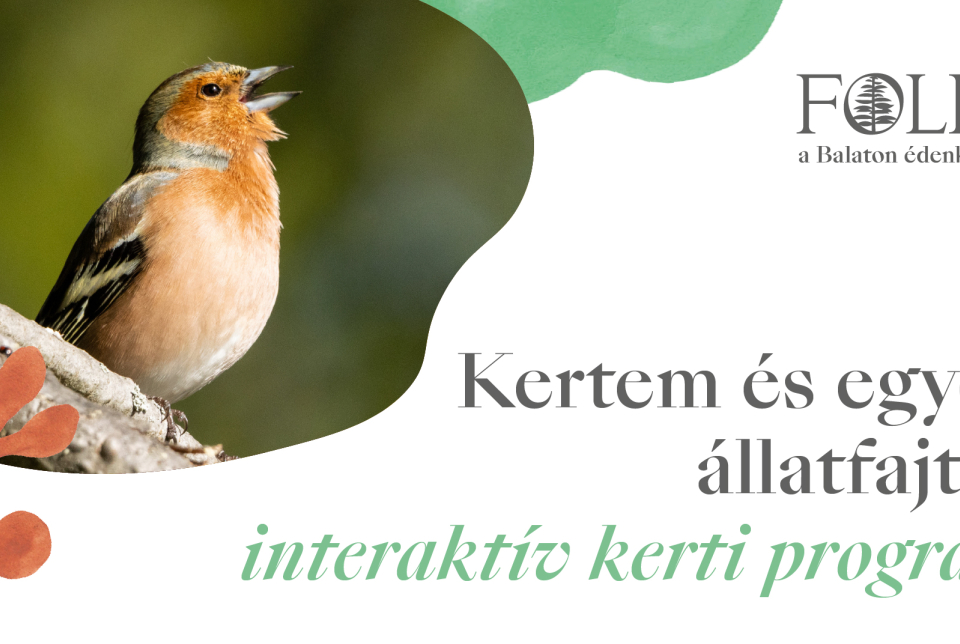 Kertem és egyéb állatfajták – interaktív kerti program a Follyban