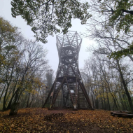 Szűcs Hajnalka fotója