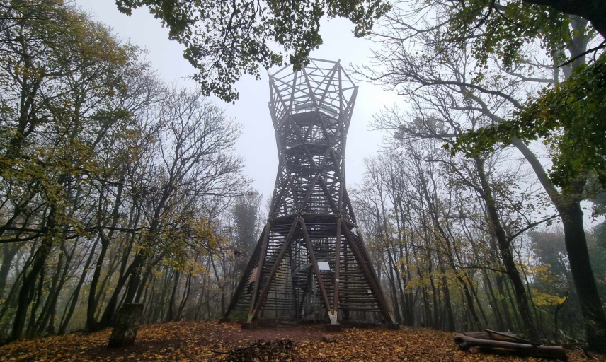 Szűcs Hajnalka fotója Szűcs Hajnalka fotója