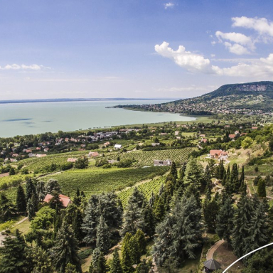 Panoráma a Folly Arborétum kilátójából - Folly Arborétum és Borászat