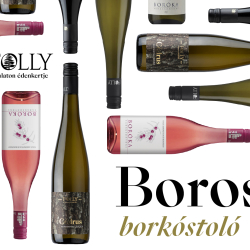 Folly Boros4es