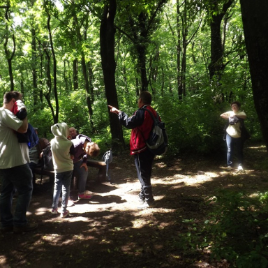 Guided tours in the Badacsony Region