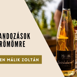 Borkalandozások Saját Örömömre / Fedélzeten Málik Zoltán
