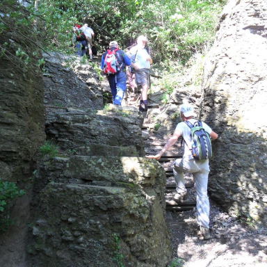 Guided tours in the Badacsony Region
