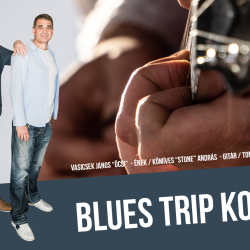 Blues Trip koncert a Sabar Borházban